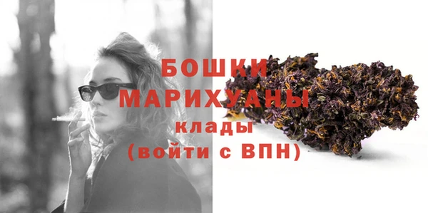кокс Ельня