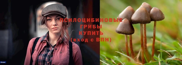 кокс Ельня