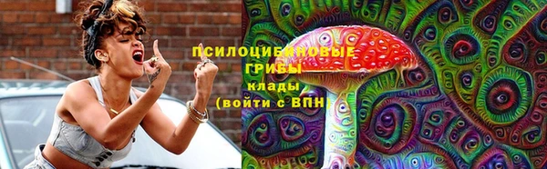 кокс Ельня