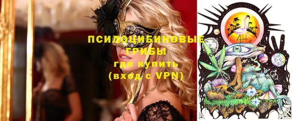 кокс Ельня