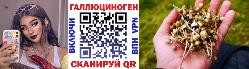 Купить  Сатка  Псилоцибиновые грибы ЛСД 